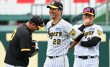 阪神的新任经理藤川比前任经理冈田更严格吗？梅野、青柳、木南三人处于“死水营地”