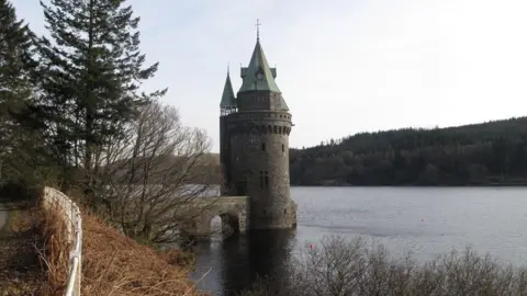 Rude Health / Geograph 从湖岸俯瞰 Vyrnwy 塔。